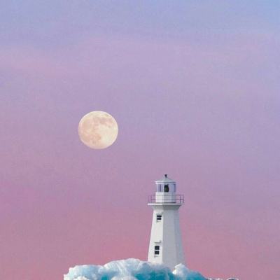 神奇宝贝大对战